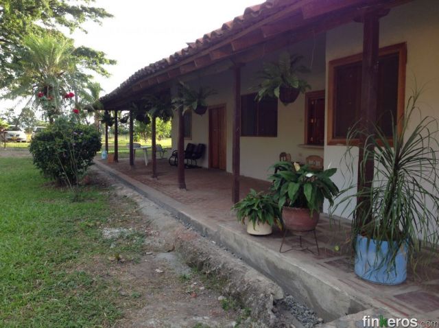 LOS DINTELES - Finca en Ginebra, Valle del Cauca